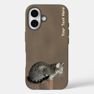 Funda iPhone 16 Gris ahumado gato de tabulación