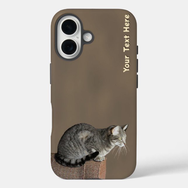 Funda iPhone 16 Gris ahumado gato de tabulación (Reverso )