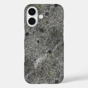 Funda iPhone 16 Gris de granito con mosca verde