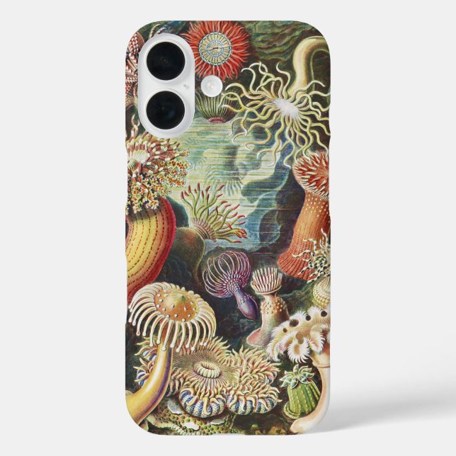 Funda iPhone 16 Haeckel Sea Anemones Nautical Sea Life Art Collage (Reverso )
