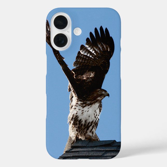 Funda iPhone 16 Halcón de cola roja con Wings Levantado foto de vi (Reverso )