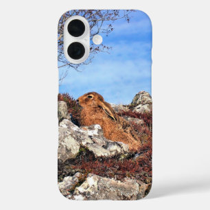 FUNDA iPhone 16 HARE