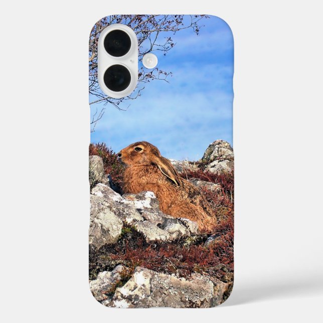 FUNDA iPhone 16 HARE (Reverso )