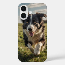 Funda iPhone 16 Heredado de Collie de borde