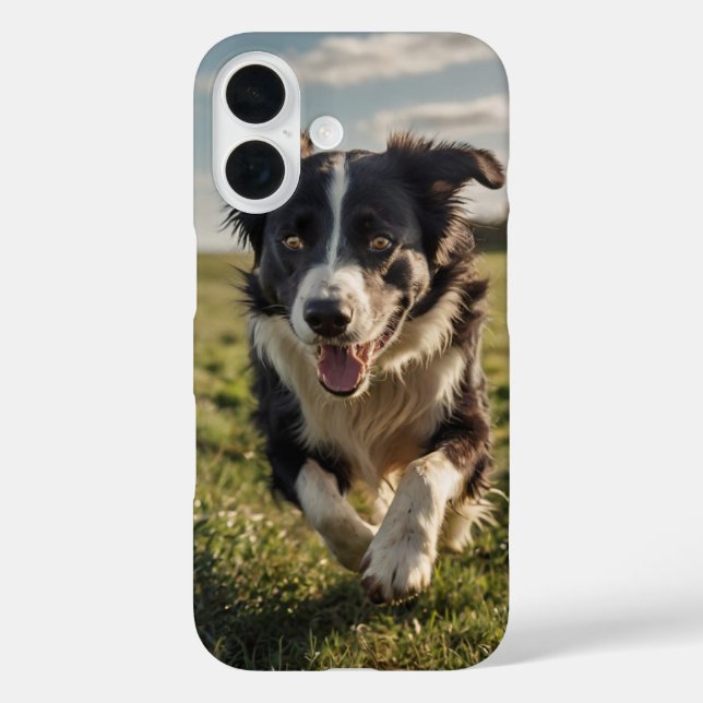 Funda iPhone 16 Heredado de Collie de borde (Reverso )