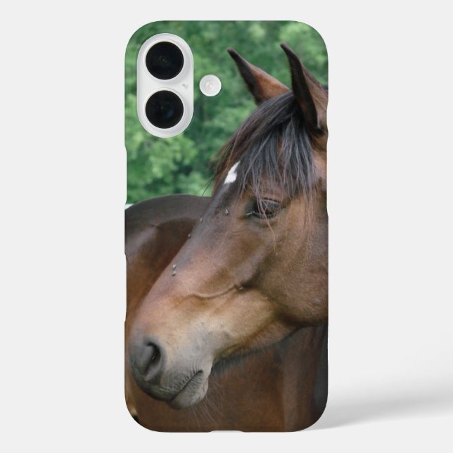 Funda iPhone 16 Hermosa cara de caballo de la bahía (Reverso )