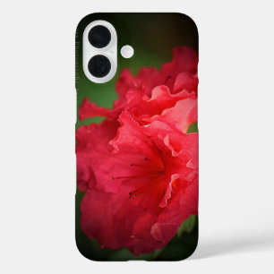 Funda iPhone 16 Hermosa Flor Roja * Estuche para iPhone Funda-Mate