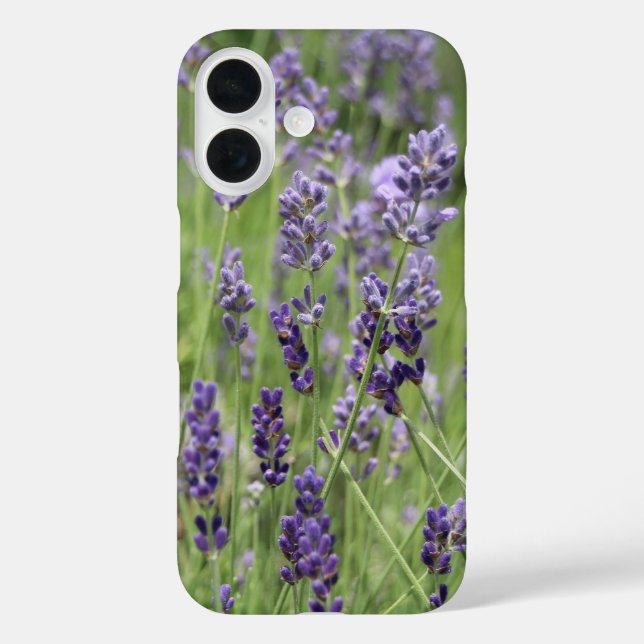 Funda iPhone 16 Hermosa Lavanda (Reverso )