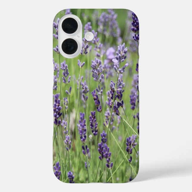 Funda iPhone 16 Hermosa Lavanda (Reverso )
