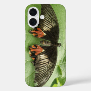 Funda iPhone 16 Hermosa mariposa negra, roja y dorada