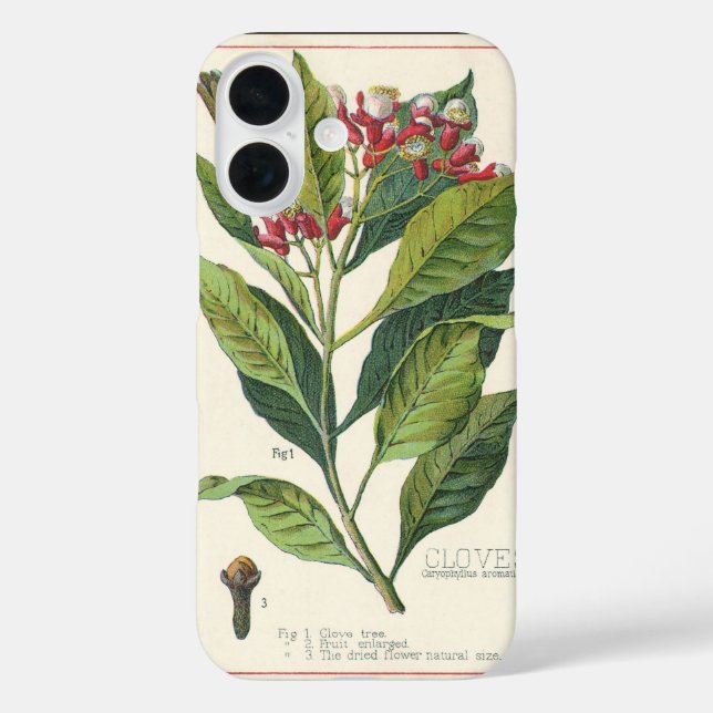 Funda iPhone 16 Hierbas alimenticias vintage especias, tendedero (Reverso )