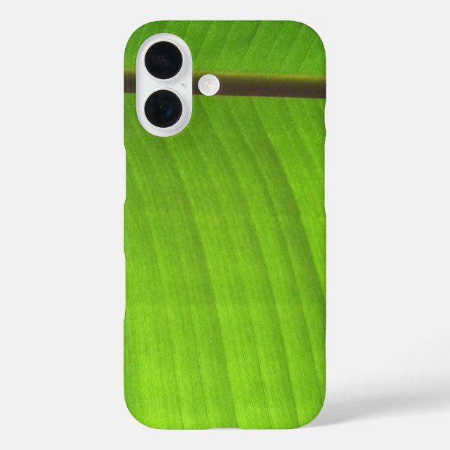 Funda iPhone 16 Hoja de plátano primer plano (Reverso )