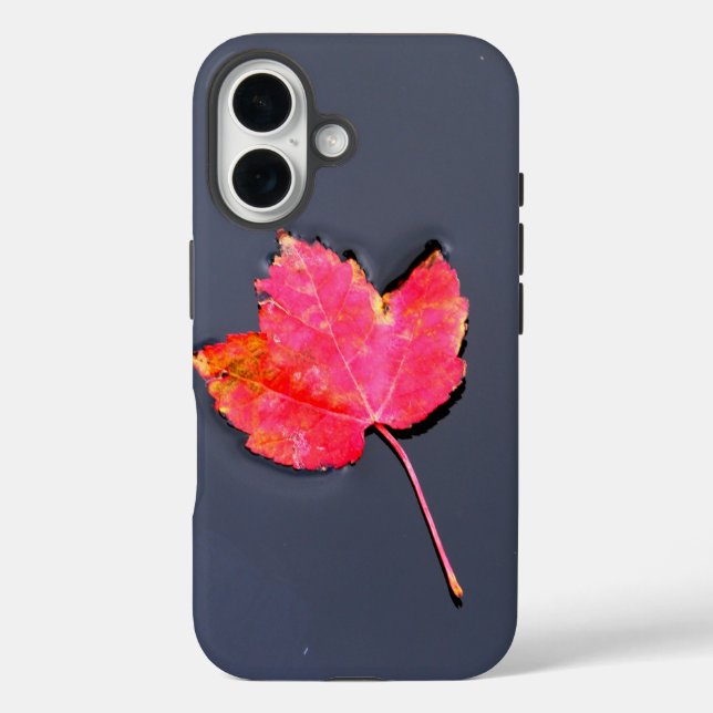 Funda iPhone 16 Hoja roja en el agua (Reverso )