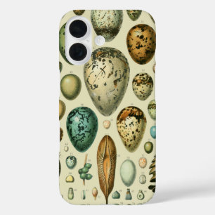 Funda iPhone 16 Huevos de aves de corral arte de huevo de pescado 