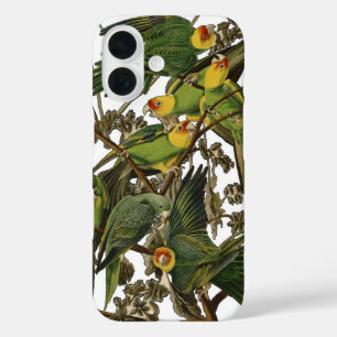 Funda iPhone 16 Ilustracion Audubon Carolina Parrot Bird