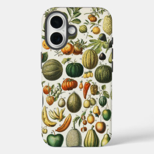 Funda iPhone 16 Ilustracion científico botánico de frutas