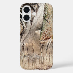 Funda iPhone 16 Imagen de foto de cierre de textura del tronco del