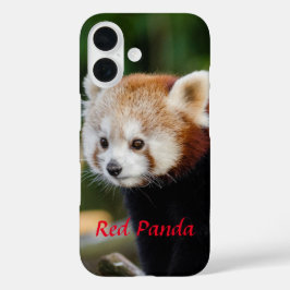 Funda iPhone 16 Imagen de Panda Rojo en Tronco Nevado