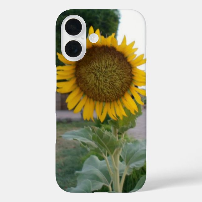 Funda iPhone 16 Impresión de arte de girasol (Reverso )