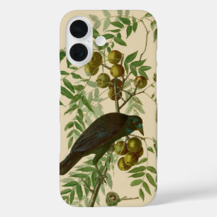 Funda iPhone 16 Impresión de pájaro Grackle púrpura de Audubon Vin