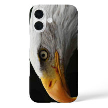 iphcnm de águila calva