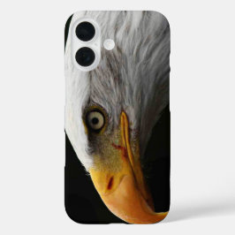 Funda iPhone 16 iphcnm de águila calva