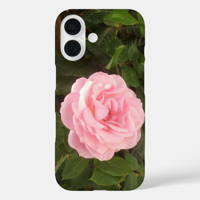 Funda iPhone 16 iPhone 16 case (Reverso )