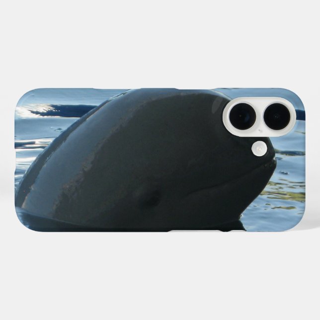 Funda iPhone 16 Irrawaddy Dolphin Peek-A-Boo (Reverso (Horizontal))