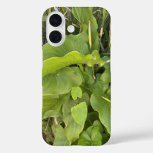 Jardín trasero Clausura Naturaleza exterior Foto