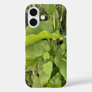 Funda iPhone 16 Jardín trasero Clausura Naturaleza exterior Foto