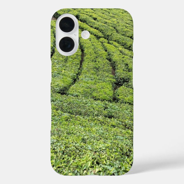 Funda iPhone 16 Jardines de té de Munnar en capa de Apple Iphone 1 (Reverso )