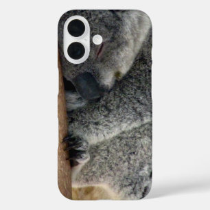 Funda iPhone 16 koala