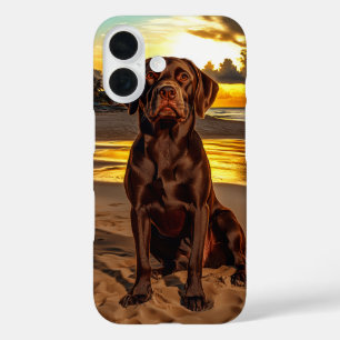 Funda iPhone 16 Labrador de chocolate al atardecer