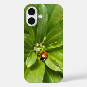 Funda iPhone 16 Ladybug en Flores
