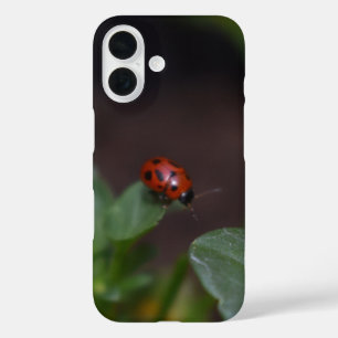 Funda iPhone 16 Ladybug en Flores