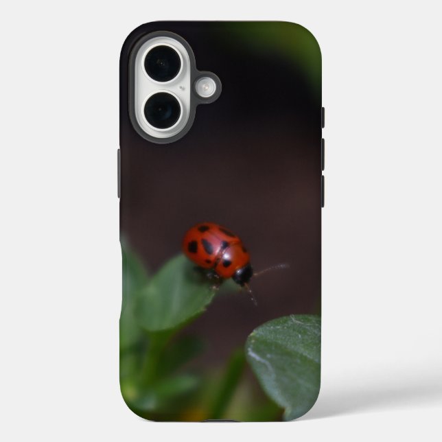 Funda iPhone 16 Ladybug en Flores (Reverso )