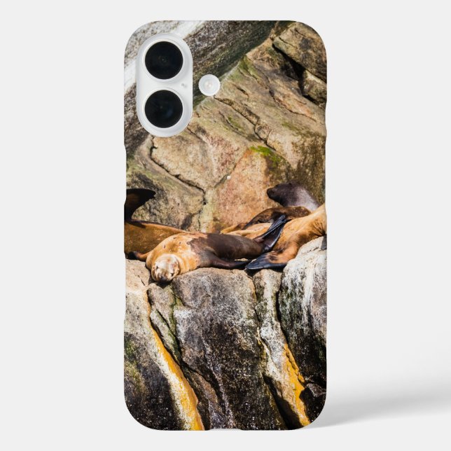 Funda iPhone 16 Leones Marinos Sobre Las Rocas (Reverso )