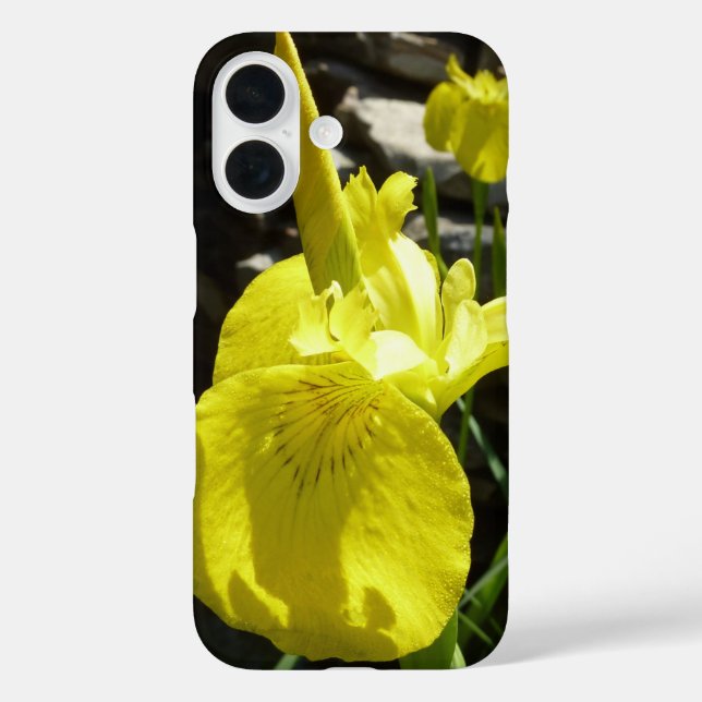 Funda iPhone 16 Lirios amarillos florales brillantes de primavera (Reverso )