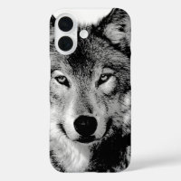 Lobo blanco y negro