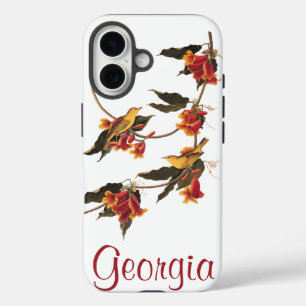 Funda iPhone 16 Los pájaros más bárbaros de Audubon en una encruci