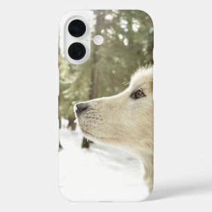 Funda iPhone 16 Malamute Face en Snowy Woods