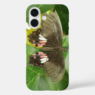 Funda iPhone 16 Mariposa Cola de Golondrina Escarlata