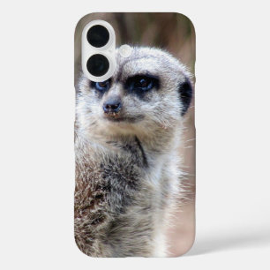 Funda iPhone 16 meerkat
