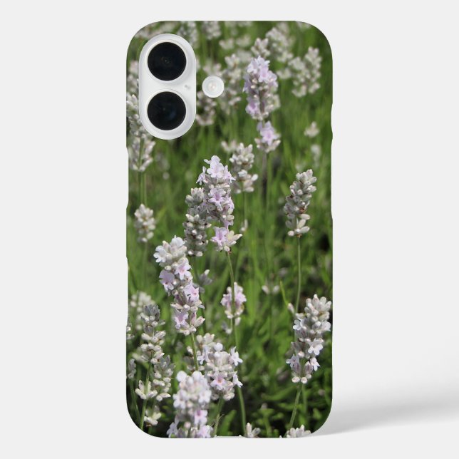 Funda iPhone 16 Melissa Lavender (Reverso )