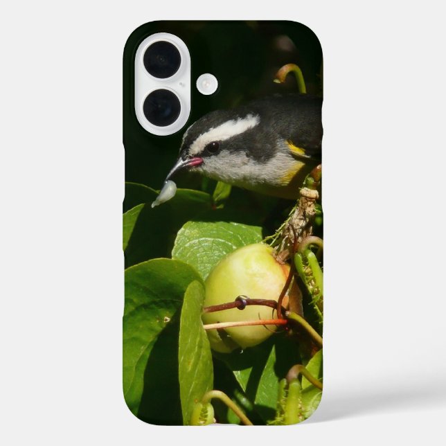 Funda iPhone 16 Mielero Comiendo Fotografía Tropical (Reverso )