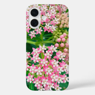 Funda iPhone 16 Milkweed también conocido como Asclepias Blooms de