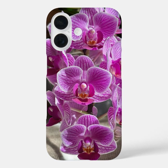 Funda iPhone 16 Mini Falaenopsis Sogo Vivien Flor Orquídea Púrpura (Reverso )