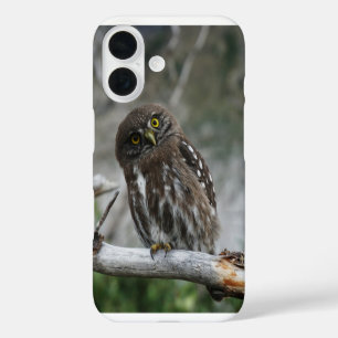 Funda iPhone 16 Mochuelo Norteño