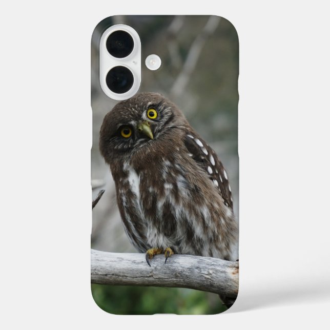 Funda iPhone 16 Mochuelo Norteño (Reverso )