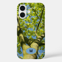 Monograma Green Tree Crown Foto con cielo azul -